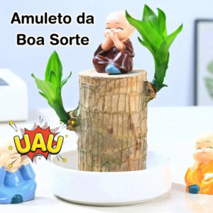 Planta Madeira da Sorte do Brasil (Ímã de Dinheiro) 🌱 (Somente HOJE!)🔥