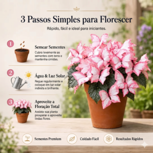 🦋🌈 Bulbos Mágicos para Jardim de Borboletas 🌸 (Somente HOJE!)🔥